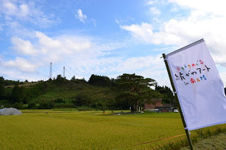 E794BBE5838F-003-2