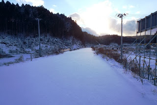 P2054492