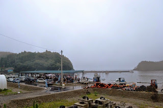 DSC_0272