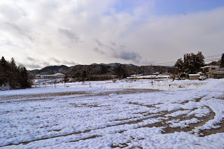 DSC_0474-1