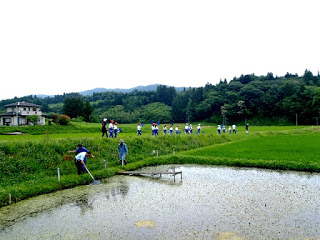 P7031281