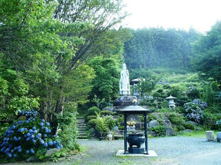 P7311386