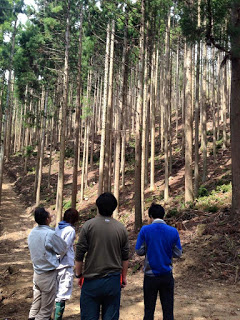 南三陸町でのFSC審査の様子