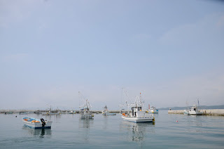 DSC0455