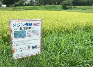 液肥を散布して育てたお米