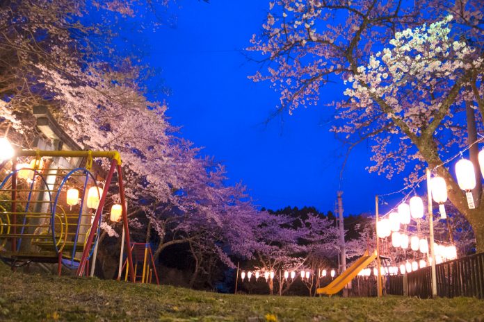 sakura 南三陸の桜の名所