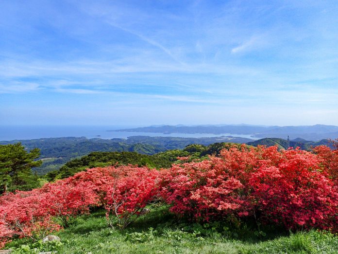つつじ咲き誇る、名峰田束山 つつじ咲き誇る、名峰田束山