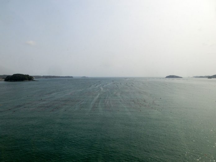 南三陸町の森・里・海・ひとを活かしたまちづくり vol.2 南三陸町の森・里・海・ひとを活かしたまちづくり vol.2