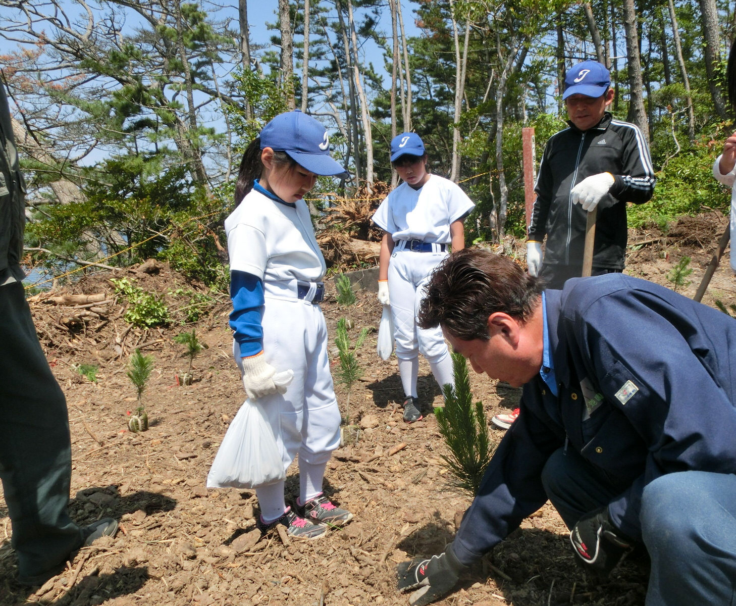 美しい松林を、みんなの力で取り戻そう「耐性松植樹会」(歌津地区泊浜尾崎)