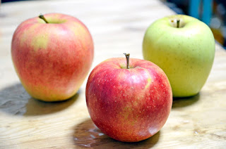 りんごを食べ比べて好みの品種を探してみよう！