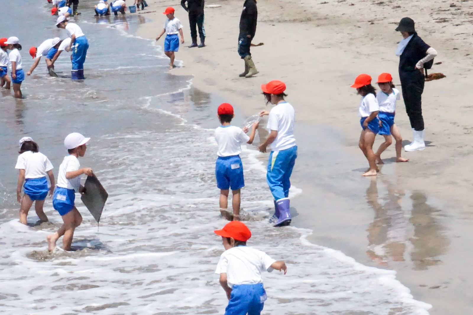 歌津地区の長須賀海岸「ふるさとの海に親しむ会」開催レポート