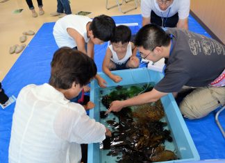ライター 佐藤 えり 南三陸なう 投稿者