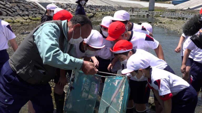 将来の夢はシロウオ漁師！？地元小学生が伝統シロウオ漁を見学